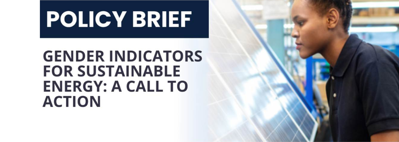 Gender Indicators for Sustainable Energy: A Call to Action