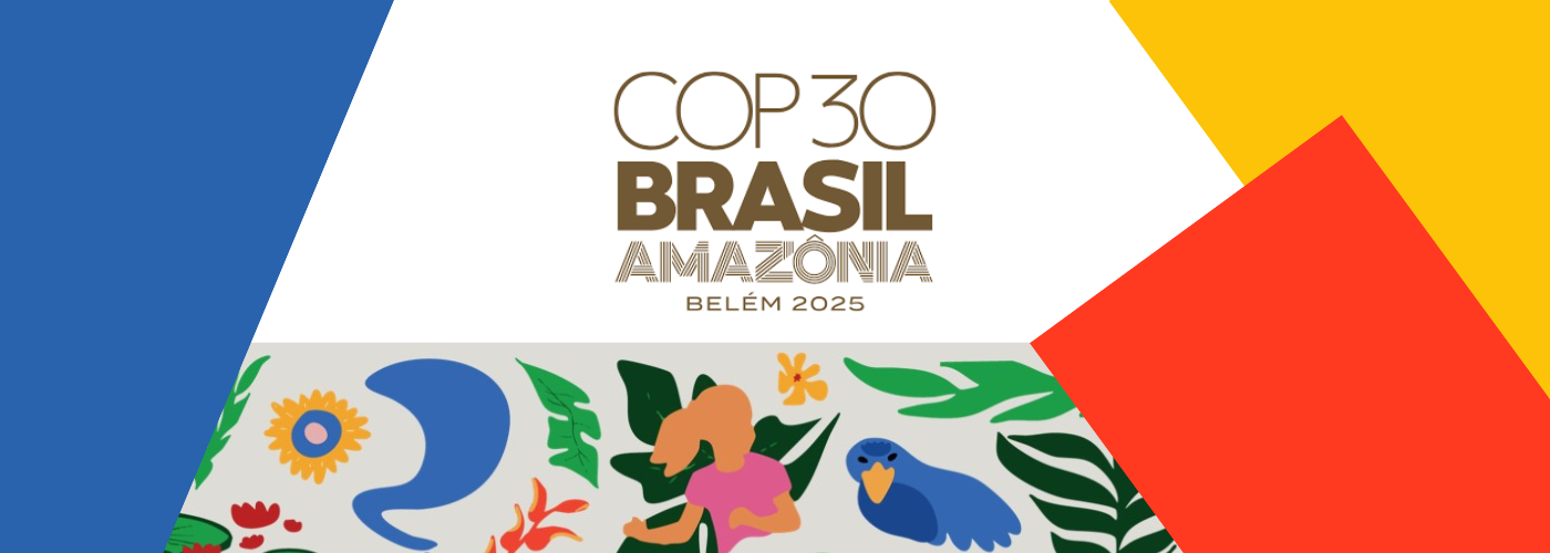 The Gender and Energy Compact at COP30